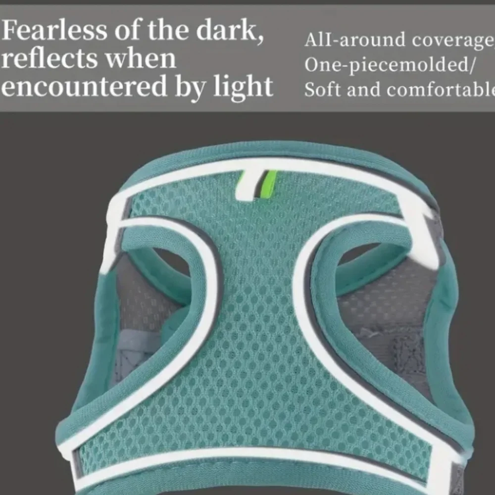 > Colorful Dog Harness